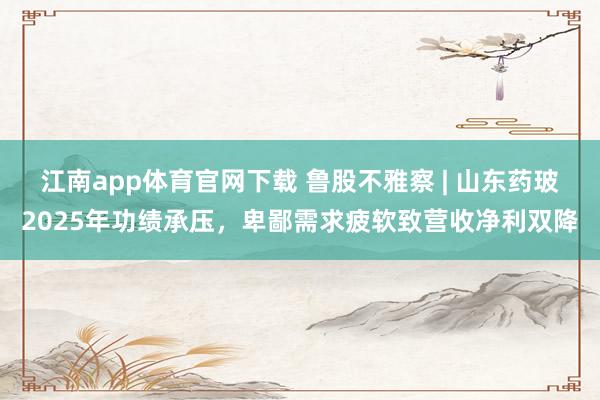 江南app体育官网下载 鲁股不雅察 | 山东药玻2025年功绩承压，卑鄙需求疲软致营收净利双降