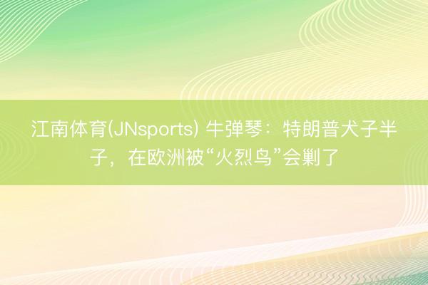 江南体育(JNsports) 牛弹琴:特朗普犬子半子,在欧洲被“火烈鸟”会剿了