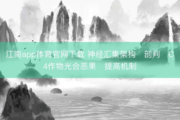 江南app体育官网下载 神经汇集架构‌剖判‌C4作物光合恶果‌提高机制‌