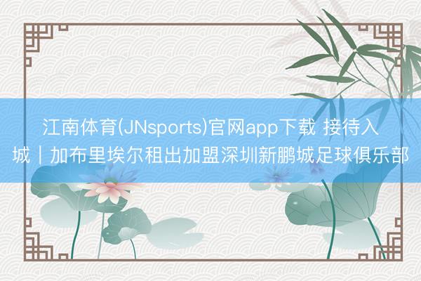 江南体育(JNsports)官网app下载 接待入城|加布里埃尔租出加盟深圳新鹏城足球俱乐部