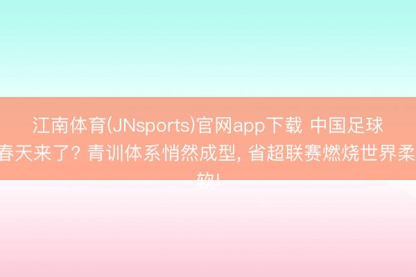 江南体育(JNsports)官网app下载 中国足球的春天来了? 青训体系悄然成型， 省超联赛燃烧世界柔软!